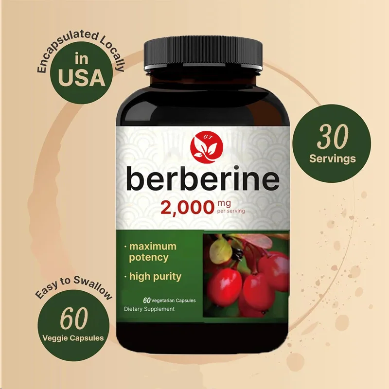 Berberine Hcl Capsule - ベルベリン サプリメント 60 ベジタリアン カプセル、97% 純粋アスパラギン酸塩酸塩
