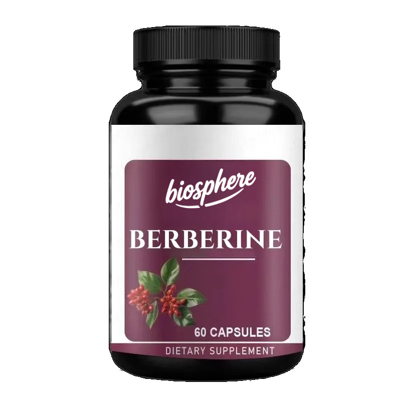 Berberine Hcl Capsule - ベルベリンサプリメント-60粒（ベジタリアンカプセル） | 97%純度のアスパルト酸塩酸塩は、代謝と毎日の活力をサポートします。